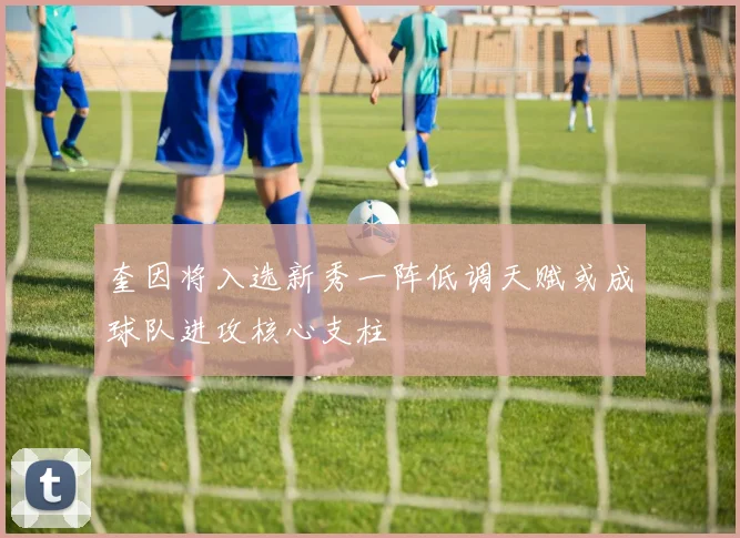 奎因将入选新秀一阵低调天赋或成球队进攻核心支柱