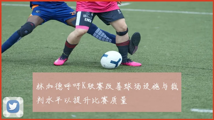 林加德呼吁K联赛改善球场设施与裁判水平以提升比赛质量