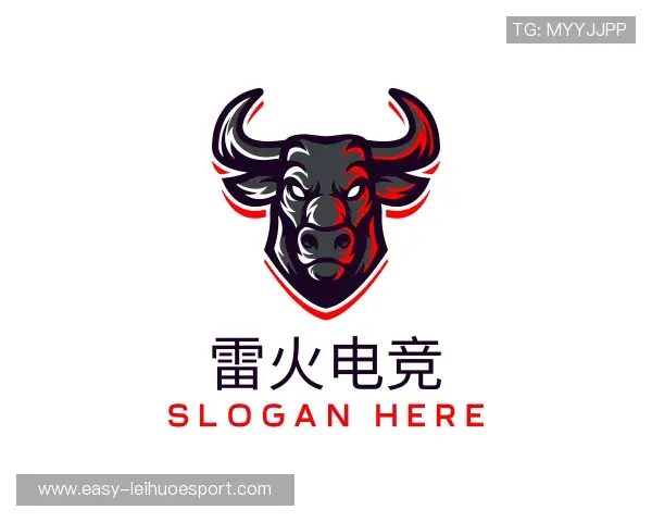 了解雷火电竞中国官网